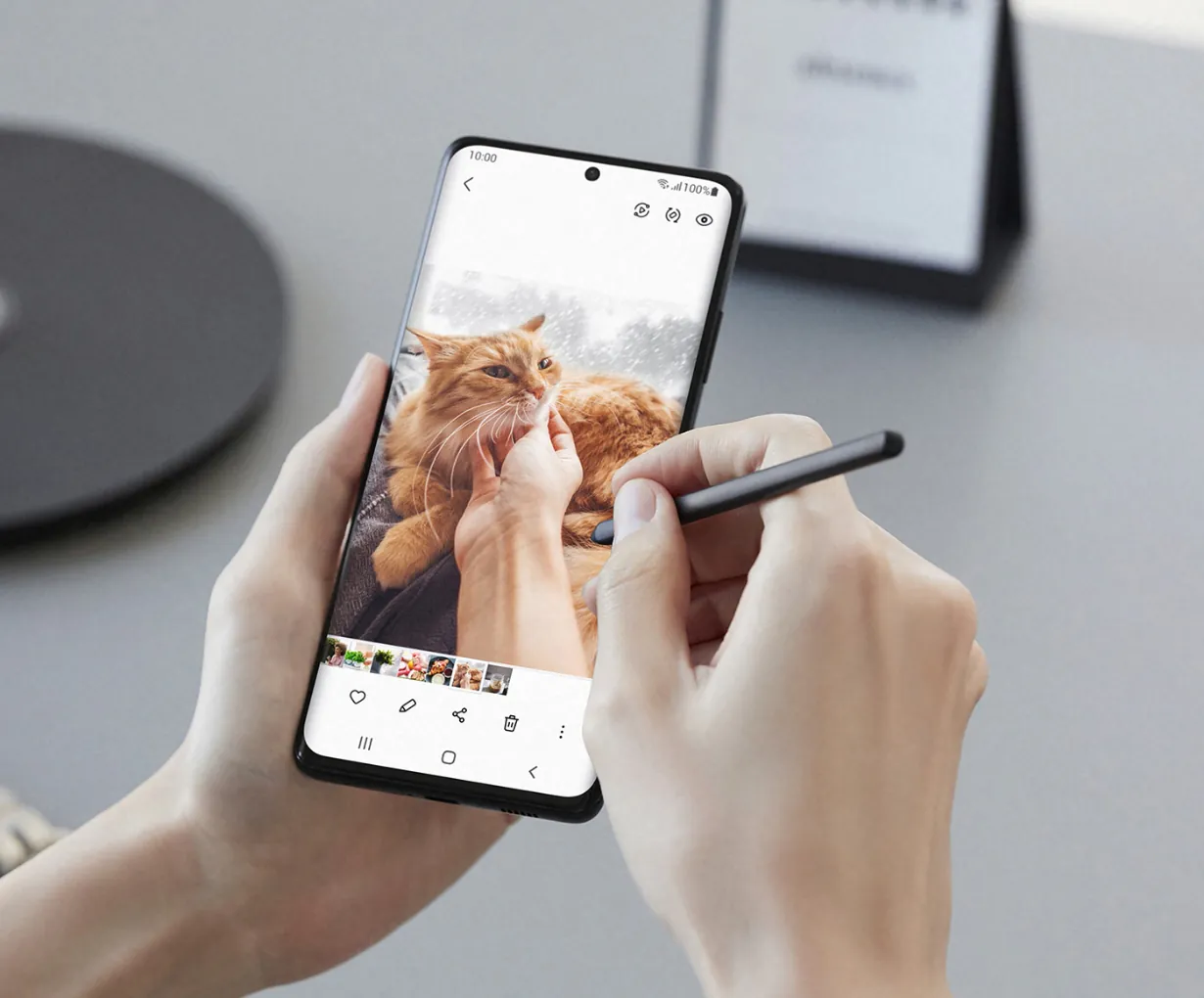 article image 2 article image 2